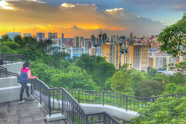 新加坡自雇项目全攻略助力你的移民计划